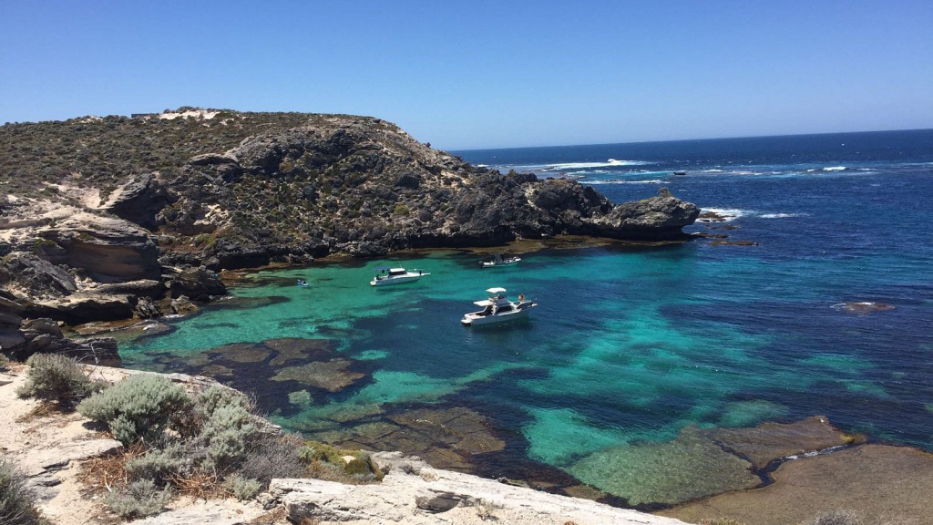 rottnest-island-visitor.jpg