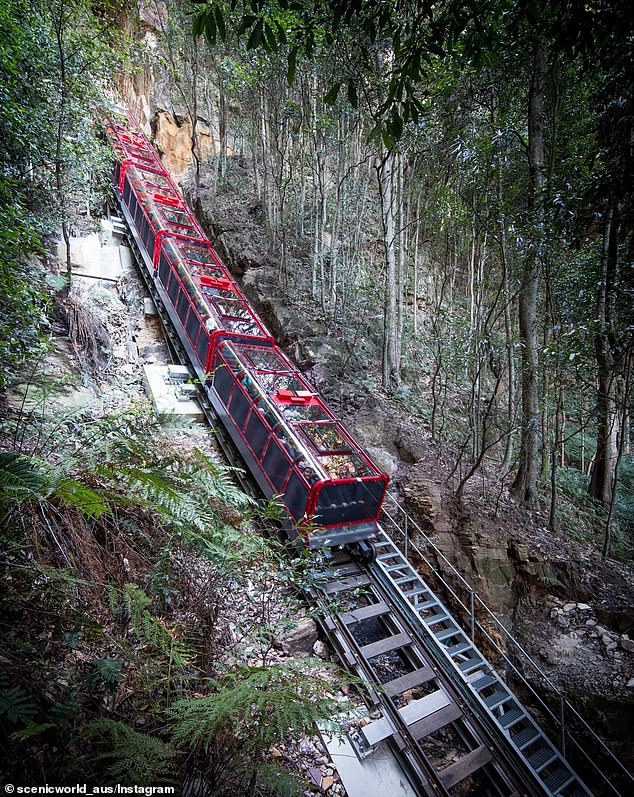 76875243-12660315-Tourists_have_been_left_shocked_by_Katoomba_s_Scenic_Railwayin_t-a-3_1698025075137.jpg