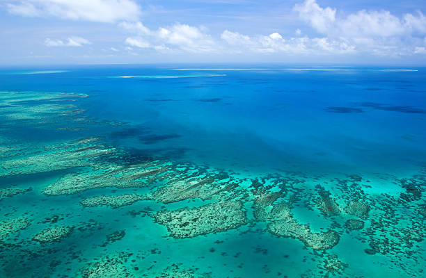 beach cairns.jpg
